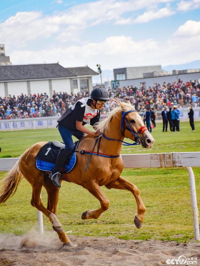 雲南大理：三月街民族節賽馬大會(huì)開(kāi)幕